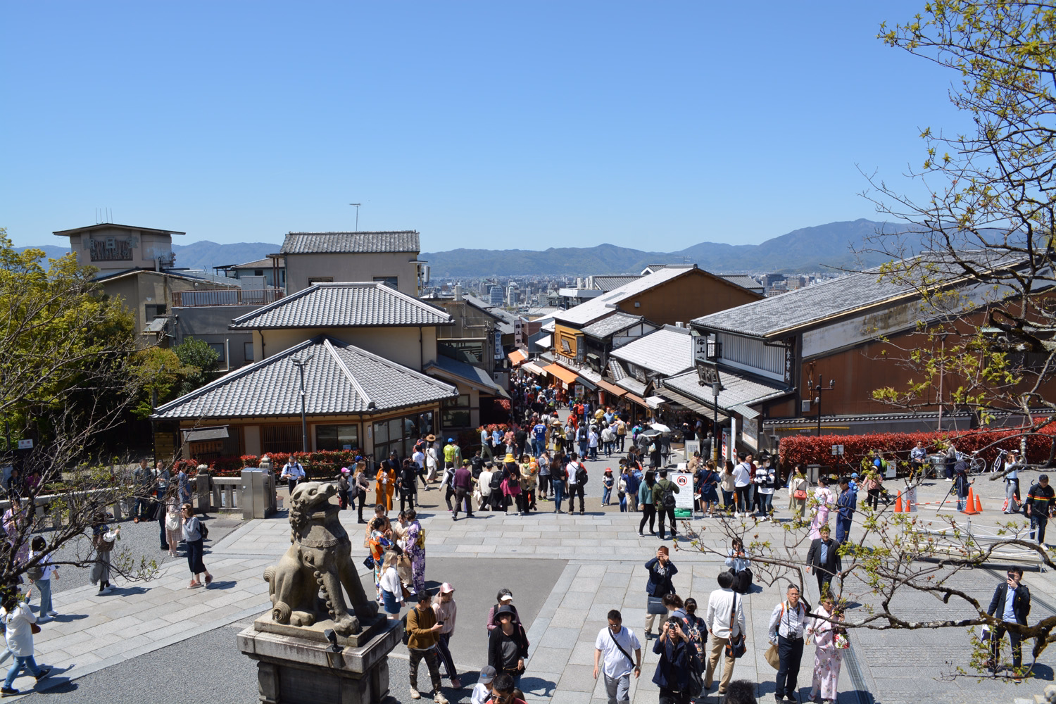 blog